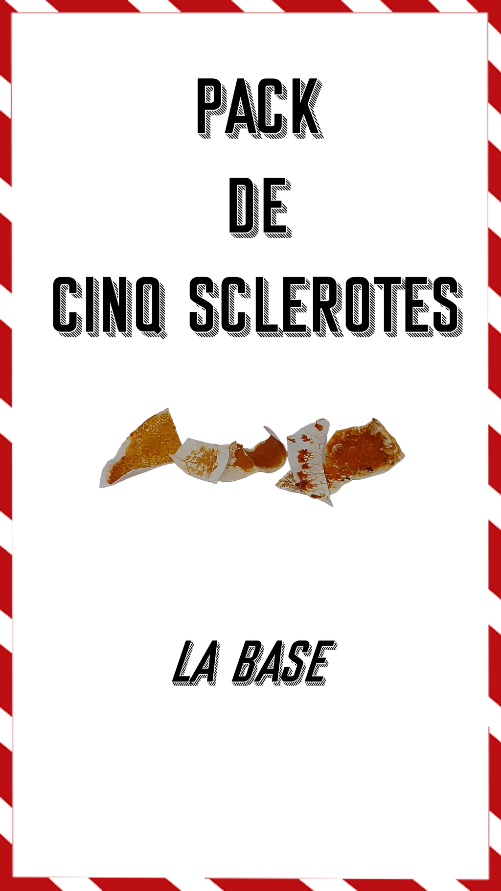 Pack de 5 sclérotes