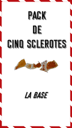 Pack de 5 sclérotes
