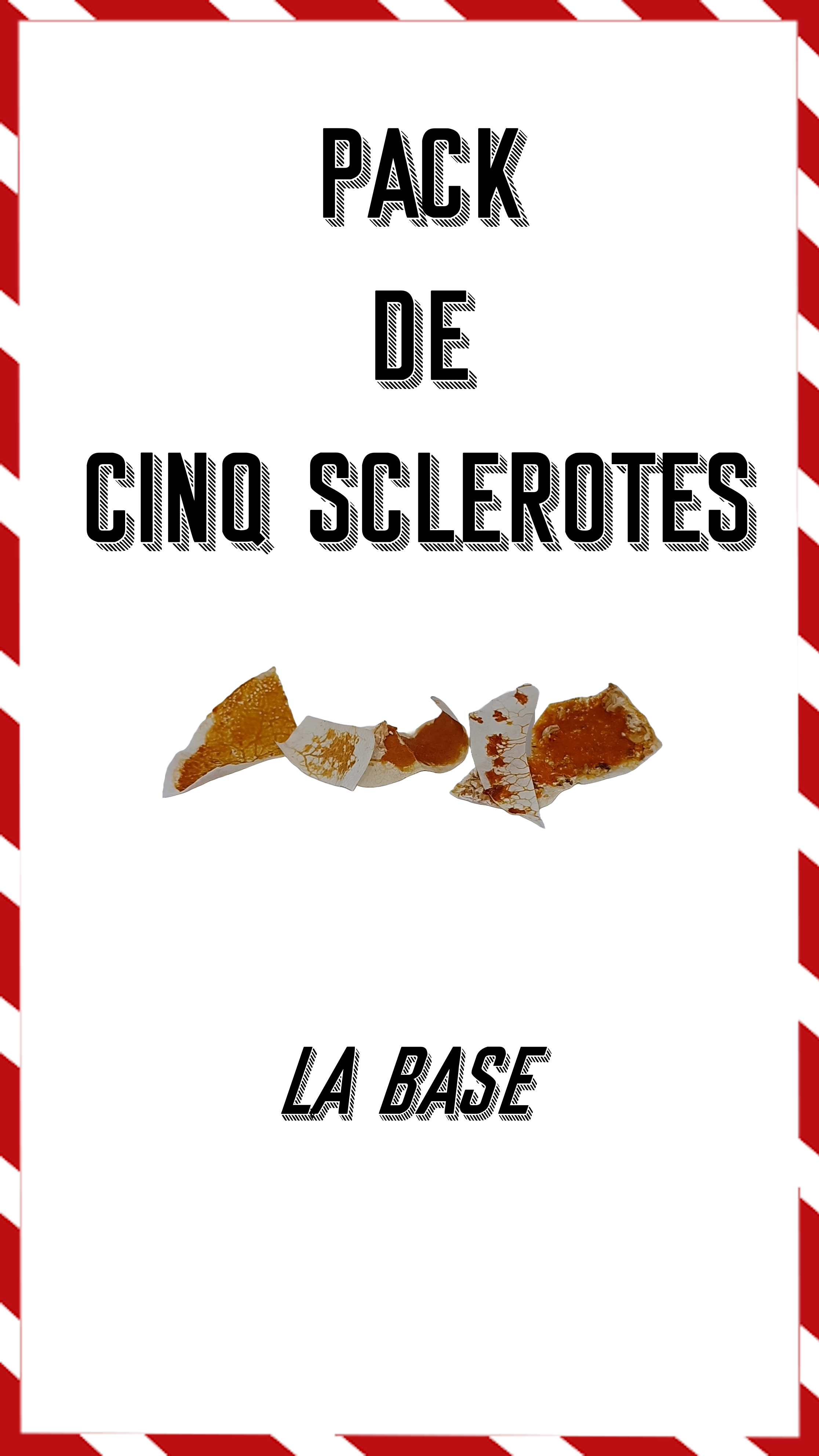 Pack de 5 sclérotes