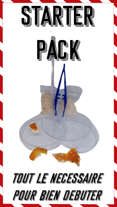 Kit d'élevage de blob Starter Pack