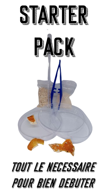 Kit d'élevage de blob Starter Pack