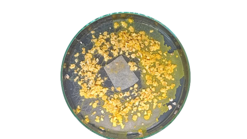 Kit d'élevage de blob Starter Pack