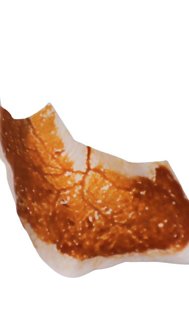 Pack de 5 sclérotes