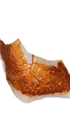 Pack de 5 sclérotes